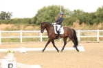 SBM_000217