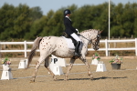 SBM_012668