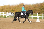 SBM_000830