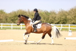 SBM_007907