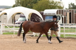 SBM_10257