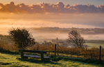 z3686 A place to sit, Brading Down at Sunrise