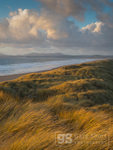 Harlech dunes in winter