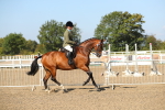 SBM_02215