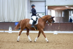 SBM_002352