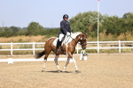 SBM_009311