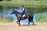 WJ7_6940