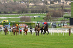 240126-Race 3-Donnacha-6381