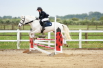 SBM_009286