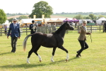 SBM_00697