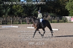 BPP_8224