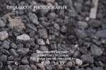 BPP_3537