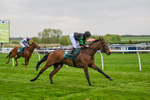 230425-Race 3-Tralee Girl-0259