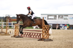 SBM_003239