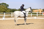 SBM_006649