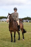 Class 32: Show Hunter Pony 153cm and under portfolio