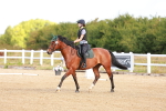 SBM_009261