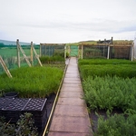 Nursery