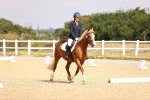 SBM_006464