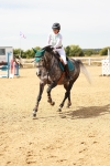 SBM_003487