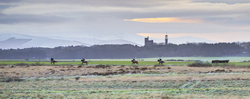 #70  The Curragh II