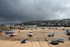 St Ives Harbour _C004