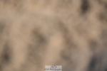 240323A-091443-00886