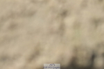 230314A-123334-00780