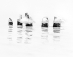 ICE CAPS, 2018 -  LONG POINT