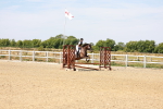 SBM_000991