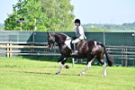 SBM_12139