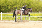 SBM_005145
