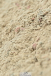 230611A-094640-04611