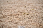 260829B-120743-00674