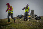 Matterdale-177