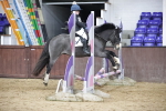SBM_000957