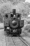 Welshpool Steam Railway engine