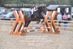 BPP_6522