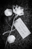12/52 To One Heart