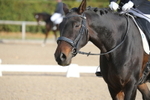 20261011-0107