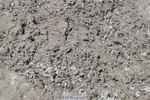 250823A-133923-30555