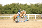 SBM_007175