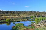 Rio Salor, western Cáceres, Extremadura, Spain