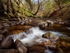 Brock Bottom 01 C