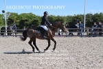 BPP_6855