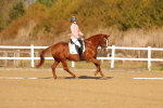 SBM_008786