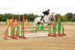 SBM_002001