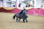 SBM_14762