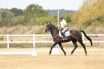 SBM_012367