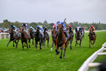 200826-Race 3-The Lost King-3367